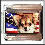 CHIHUAHUA LONG HAIR AND AM FLAG ITALIAN CHARM