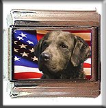 CHESAPEAKE BAY RETRIEVER AM FLAG ITALIAN CHARM