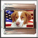 BRITTANY SPANIEL AND AM FLAG ITALIAN CHARM