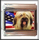 BRIARD AND AM FLAG ITALIAN CHARM