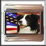 BORDER COLLIE AND AM FLAG ITALIAN CHARM