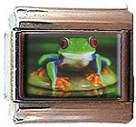 ZEN FROG ITALIAN CHARM