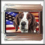 WELSH SPRINGER SPANIEL AND AM FLAG ITALIAN CHARM