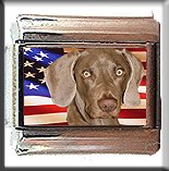 WEIMARANER AND AM FLAG ITALIAN CHARM