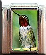 RUBY THROAT HUMMINGBIRD ITALIAN CHARM