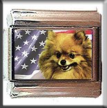 POMERANIAN AND AM FLAG ITALIAN CHARM