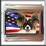 PAPILLION AND AM FLAG ITALIAN CHARM