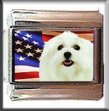 MALTESE AND AM FLAG ITALIAN CHARM