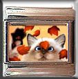 KITTY KITTEN LEAVES PLAYING ITALIAN CHARM