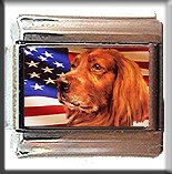 IRISH SETTER AND AM FLAG ITALIAN CHARM