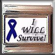 CANCER I WILL SURVIVE ITALIAN PHOTO CHARM