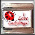 I LOVE LADYBUGS ITALIAN CHARM CHARMS