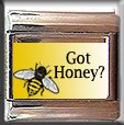 GOT HONEY BEE ITALIAN CHARM CHARMS