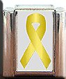 LIVER CANCER ITALIAN CHARM CHARMS