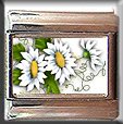 DASIES ITALIAN CHARM CHARMS