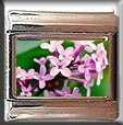 LILACS #2 ITALIAN CHARM CHARMS