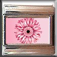 PINK GERBER DAISY ITALIAN CHARM CHARMS