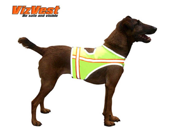 Dog Safety Vest Size M (36-60 lbs.)