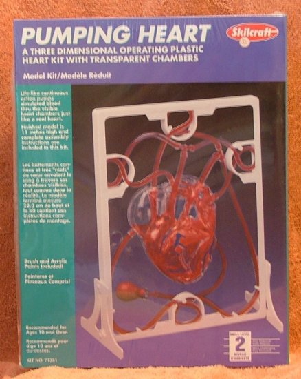 Pumping Heart Anatomy Kit