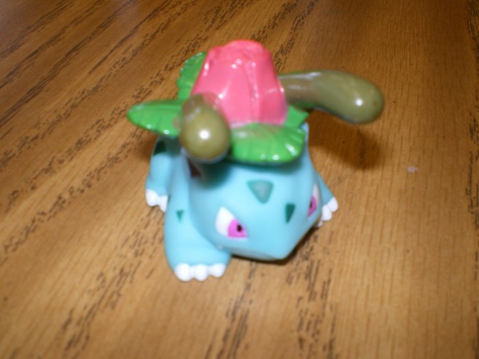 Ivysaur Attack Kid