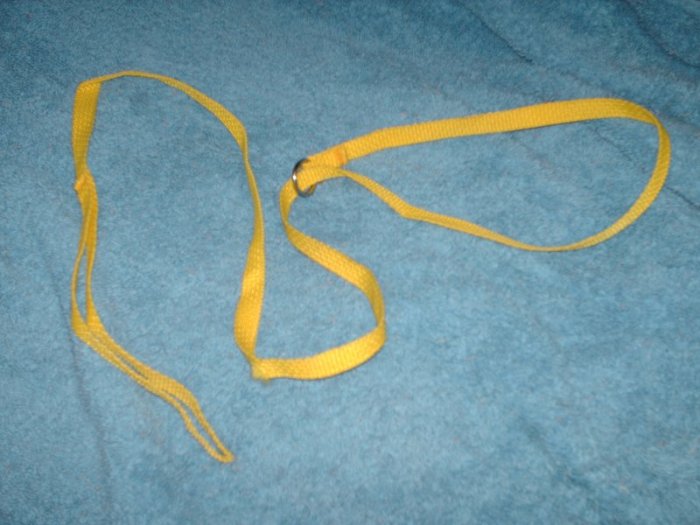 5 ft small slip lead