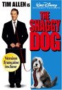 Shaggy Dog