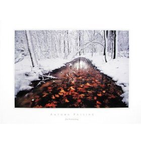 Autumn Passage Scenic Art Poster Print by Jim Brandenburg, 24x18