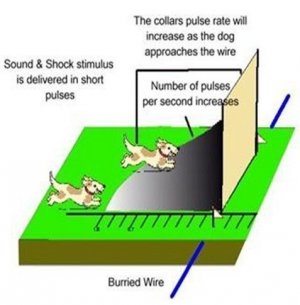 ELECTRIC FENCE INSTALLATION FOR LIVESTOCK