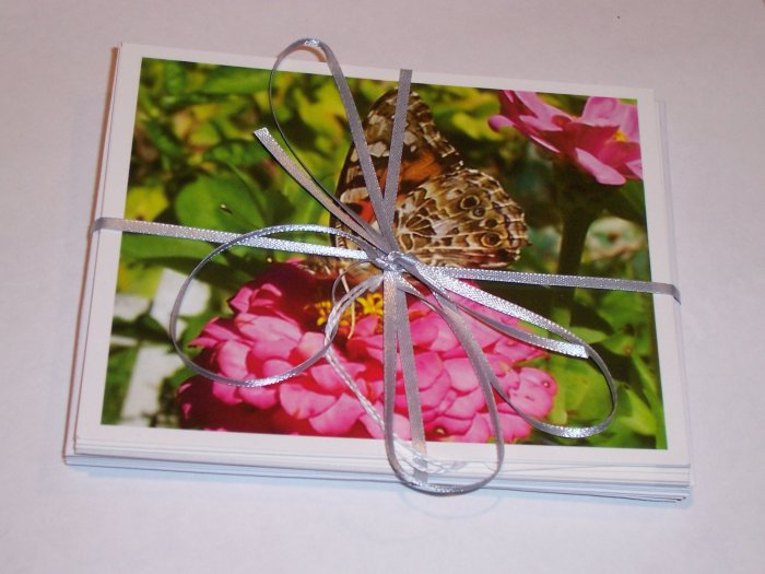 Butterfly photo postcard set (5)
