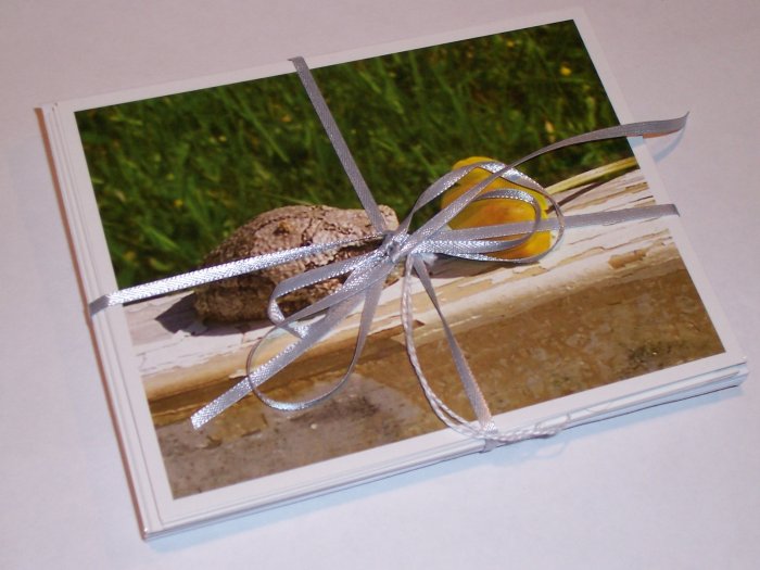 Toad and Buttercup photo postcard set (5)