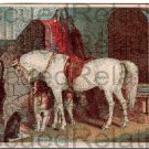 LIBBEY, CLARENCE M.,  Reward of Merit Card