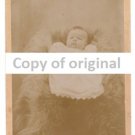 DEIBLER, CLAUDE NATHAN., Dauphin Co., Pa., id'd photo