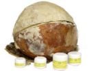 WHOLE SHEA BUTTER NUT