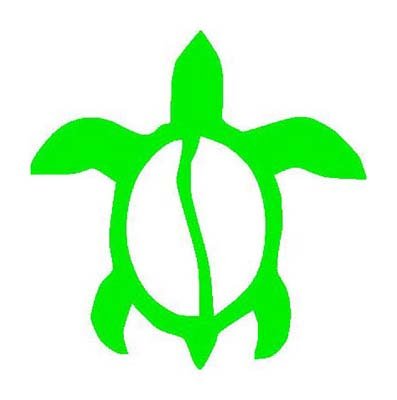 Green TURTLE Vinyl sticker/decal