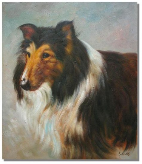 Collie