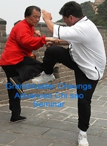 Grandmaster Cheung's Advanced Chi Sao Seminar