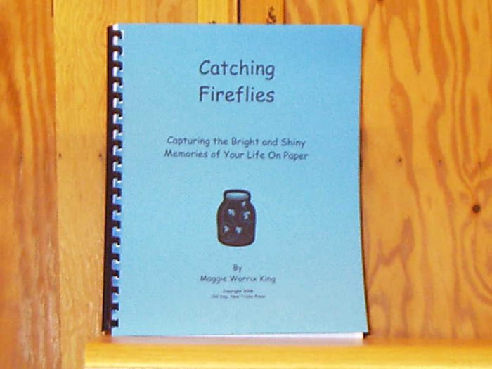 Catching Fireflies Journal Writing Prompts