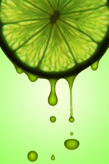 Luscious Lime Cheesecake Dip Mix