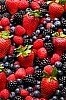 Berry Blast Bagel Spread - Fruit Dip