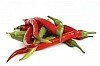 Hot & Spicy Mexican Gourmet Dip Mix