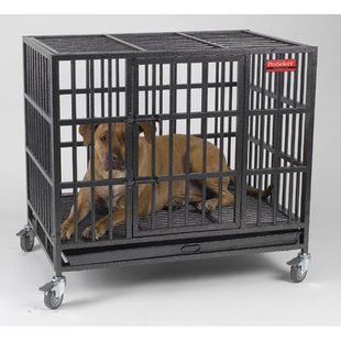 Empire Dog Crate Heavy Duty Dog Cage Large