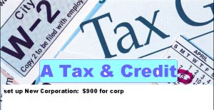Incorporation-Corp. Texas reduced $699/account
