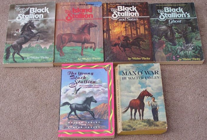 6 Vintage Book Set BLACK STALLION Walter Farley ISLAND Young GHOST Satan MAN O'WAR