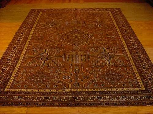 SUPER VGETABLEDYECAUCASIAN PERSIAN(CHOBI)(HERIZ)7x10 EP15