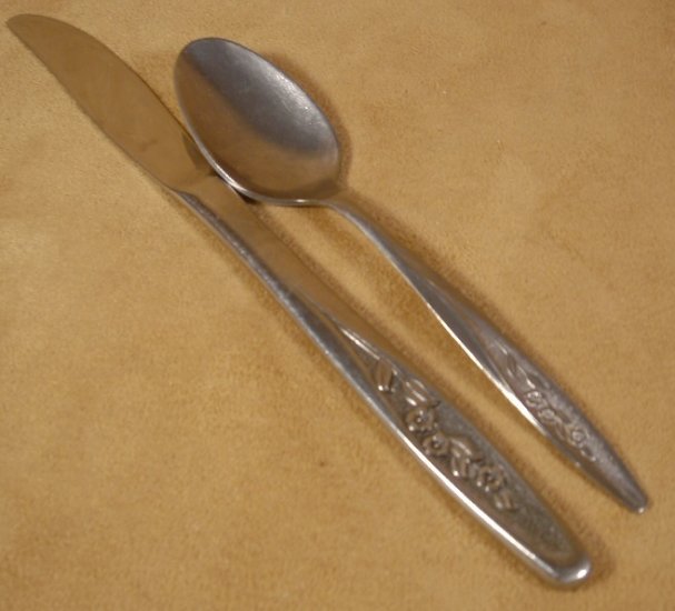 SUPERIOR STAINLESS U.S.A. RADIANT ROSE 2 PC. LOT *SHIPS FREE*