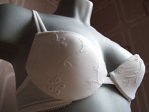 32c ex m&s white embroidery padded plunge bra BNWOT