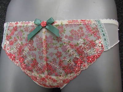 size 14 ex m&s cream pink embroidery brief knickers BN