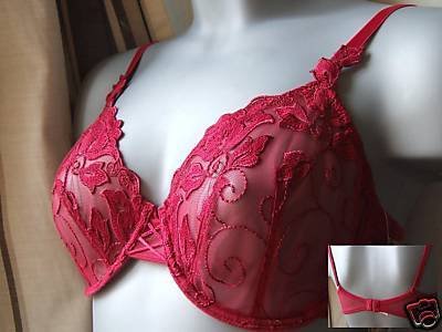 32c ballet red lace mystique embroidery bra bnwot