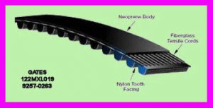 * 10 Gates Synchronous PowerGrip Timing Belt 122MXL019 / 92570263 NEW 9257-0263 *