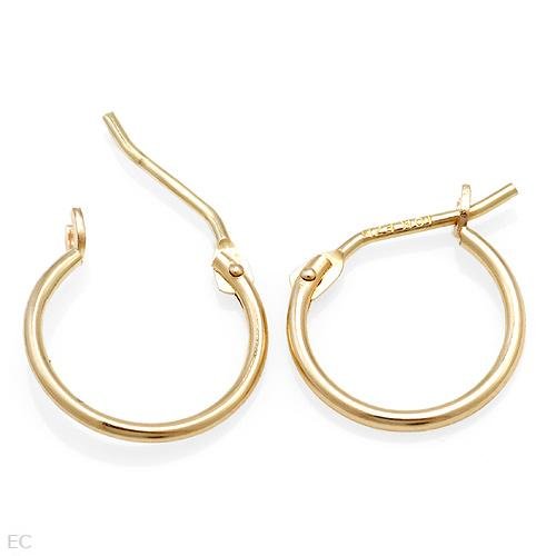 Pleasent Hoop Earings